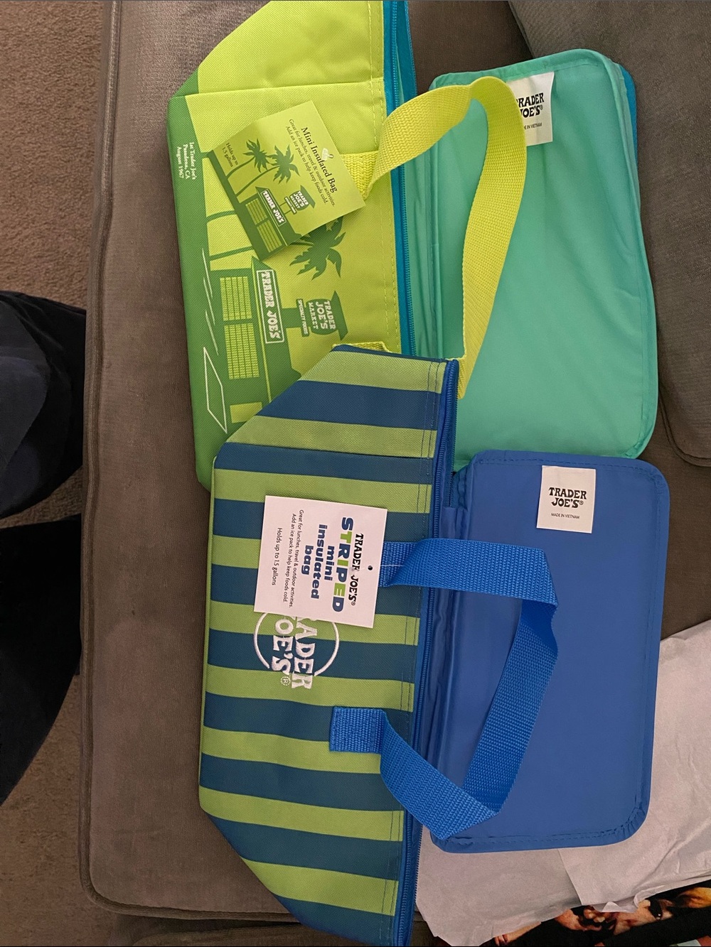 Trader Joe's Insulated Cooler Bags - Blue & Green Stripe and green new with tags